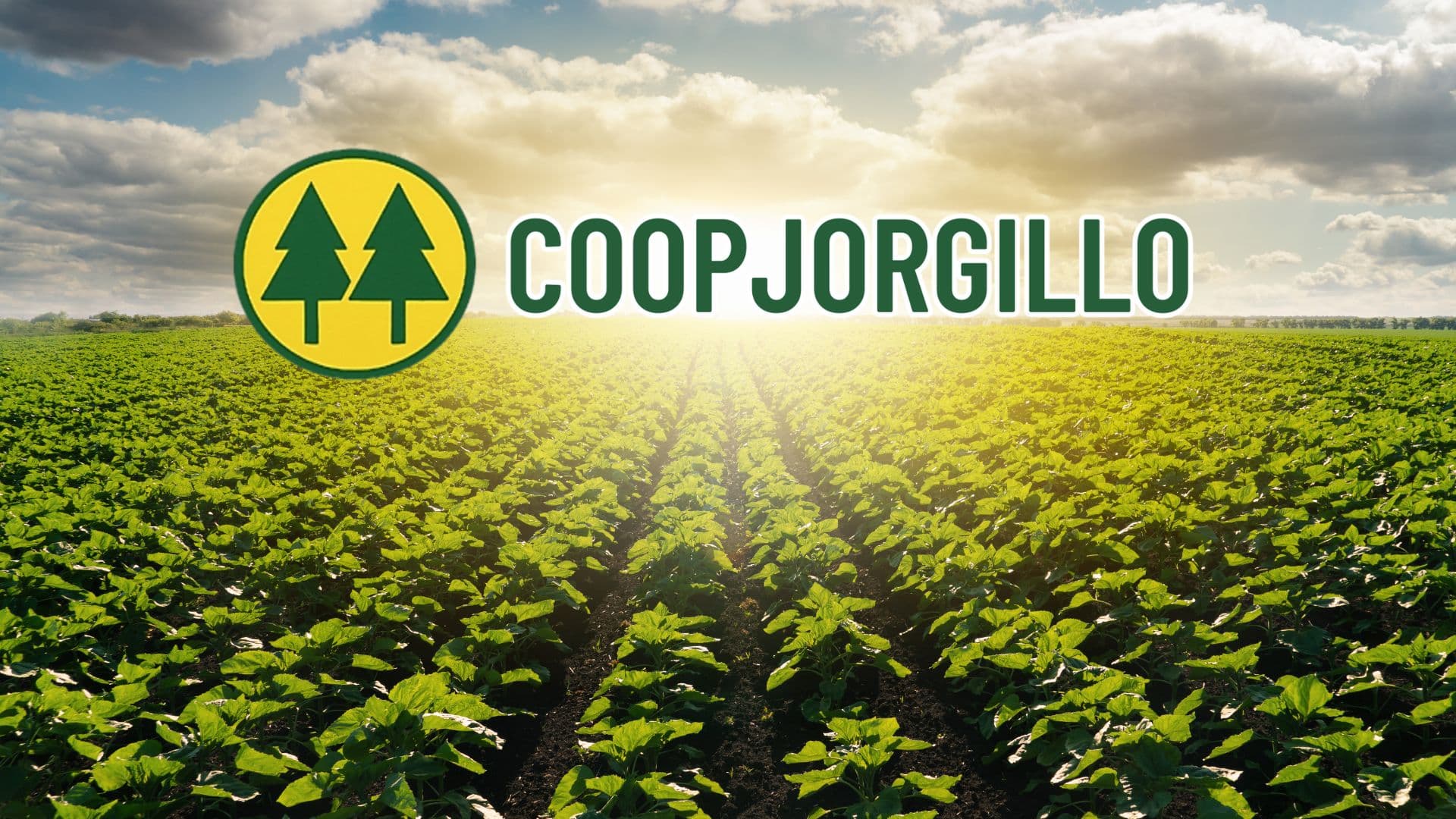 Miembros de la cooperativa en el campo