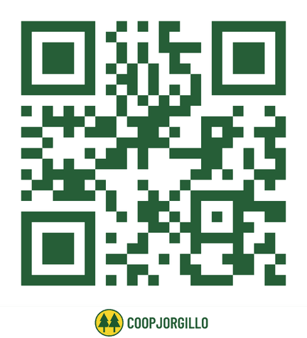 WhatsApp QR Code
